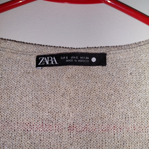 Shinny zara mesh top - Picture 3 of 3